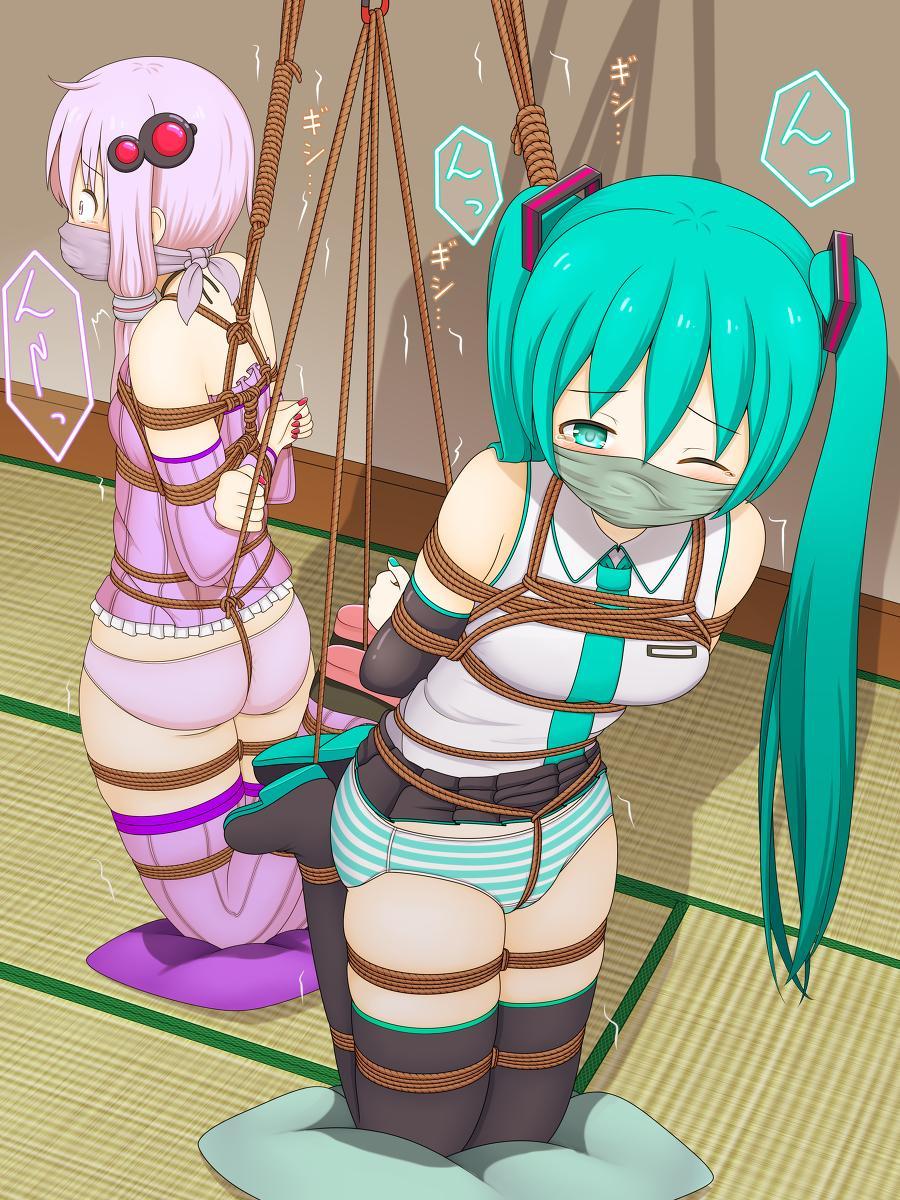 很多女生898 - 非常好看的 [Japanese Anime,Hatsune Miku]