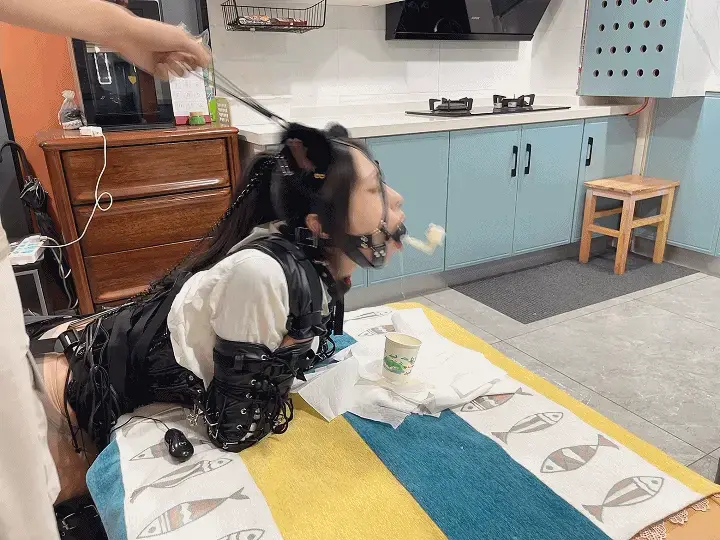 【小九与晴子】【电击项圈固定】【k9 马具口球肛钩连接强饮】 这次又给晴穿上了k9 戴上马具口球 再连接上肛勾<br>戴上上锁的电击项圈防止头左右摆动，一旦摆动就会电击。<br>这次在马具口球上加上了强制饮用的配件，倒上无糖酸奶，<br>口水止不住的流，由于头和肛勾固定所以不能低头，<br>然后电击项圈又防止头旋转动，就会一直喝酸奶，口水流不停。<br>再打开训练器训练到gc，最后扛不住也不怕电的挣扎。<span style='color:#b0b0b0;'>[隐藏文字，购买后可见]</span>