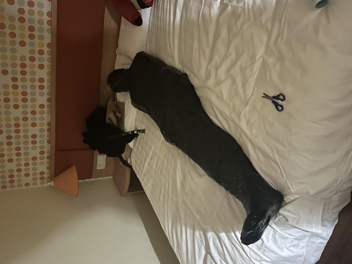 南京交友 - 入圈萌新，想找同好一起玩，什么都想玩，最近想玩全包诶嘿 [木乃伊/全包]