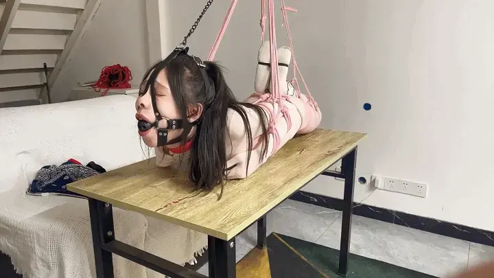 【小九与晴子】【犬吊缚加踮脚吊缚】 提前打个招呼这部因为晴下面受伤了就没带训练器，所以有点素，<br>但是尝试了新绑法。<br>前半段是将晴绑成k9状然后将四肢吊起再戴上马具口球。<br>刚开始放置在桌子上，我还故意把镜子拿到面前羞辱它。<br>由于四肢马具都被固定死死的，只能看着镜子里的自己被我羞辱。<br>Tk抚摸，后面我还将桌子移开强行吊缚，这个姿势相当难受，所以坚持<br>不了多久。<br>后半段是应粉丝要求的踮脚紧缚，我屁股那块的绳子故意吊高直到脚尖挨地。<br>如果脚尖都不着地的话受力全部在大腿沟那块十分痛苦，踮脚能缓减但不多。<br>然后我开始疯狂tk，晴无法逃脱只能原地转圈。<br><span style='color:#b0b0b0;'>[隐藏文字，购买后可见]</span>