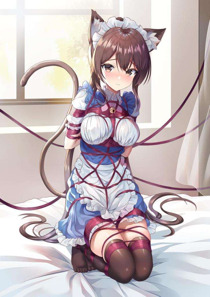每日图集 第4期 - 一些kb图