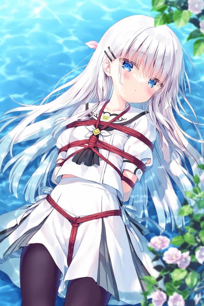 每日图集 第25期 - 一些kb图