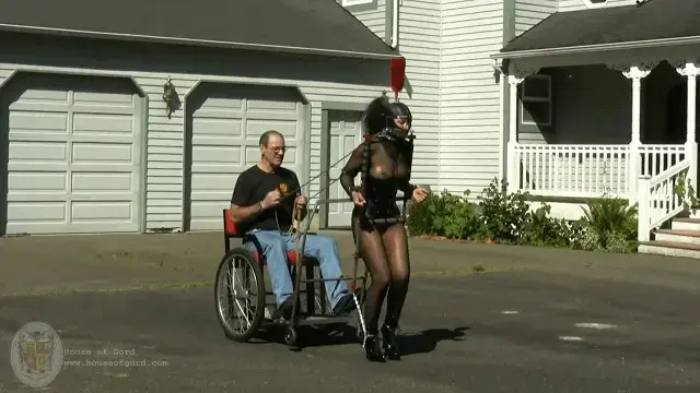 Pony Carting - 2011 style CALLISTO ON THE BUTT THRUSTER PONY CART 它看起来是解决你所有小马运输问题的完美解决方案。经过几次测试后，她迅速地小跑起来。没过多久，她就汗流浃背，努力遵守。house of gord家具片