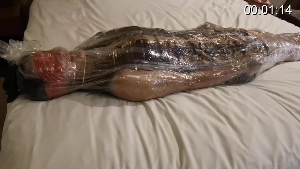 窒息绝望吼叫塑料袋木乃伊调教骚母狗 母狗被窒息调教，绝望的吼叫，定拍34957685，只做真实的窒息