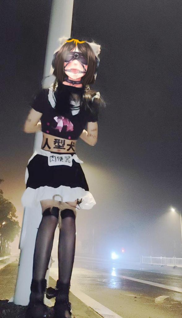 猫耳黑丝泳装小男娘公交车站路灯蒙眼户外露出电击放置挑战+身体书写羞辱文字 在灯火通明的公交车站边上的路灯下项圈定时锁住户外露出二十分钟，加上郊狼前锁后塞和脚踝的郊狼按钮，松开脚踝释放电击，加上眼罩完全蒙眼和身体上的淫荡文字，羞耻感满满的，还有一个肉便器的牌子，如果有人路过那是完全躲不了了的，紧挨着马路，经过的车都能看得到，手铐在背后锁在项圈上，没有钥匙完全无法解开，风险最大的一集，希望大家喜欢~