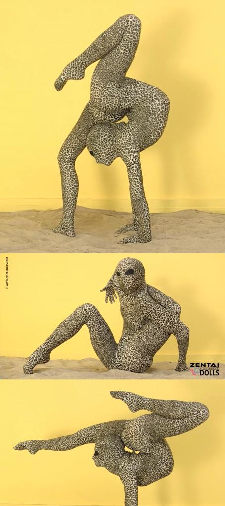 Animal Contortion Show An adult animal-themed contortion and fetish compilation.