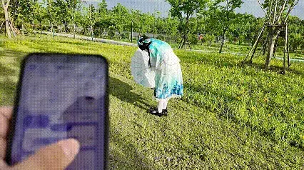 苏苏_西施诗雨江南cos户外镣铐啵啵贝露出，与行人擦肩而过+葫芦铐跳跃找钥匙 高清版本在网盘<br>苏苏今天cos西施诗雨江南，在一个阳光明媚的午后来到了公园旁，四周都是钓鱼和农忙的人，戴好啵啵贝后苏苏紧张的小心翼翼的小步走着，唯恐被别人发现，接着在花丛中找到了两幅镣铐，戴好后发出了叮叮当当声响，随着啵啵贝力度的不断增大，苏苏不断的捂着下体十分的羞愧，走着走着面前出现了钓鱼大哥，苏苏尽可能的减小链条的摩擦声，同时忍受着啵啵贝的震动，在失控模式下蹒跚的走着，生怕被别人发现自己的窘态，最后苏苏被铐在树下连接指铐在啵啵贝的刺激下很快来了感觉身体软了下去。<br>第二幕为戴着葫芦铐在寸步难行的情况下跳跃寻找镣铐的钥匙<br>定拍/原味/赞助 qq3975334131，价格优惠，重口勿扰～<br>招聘同好/模特，坐标江苏，有意向的宝子可以 qq3975334131沟通交流～<br>苏苏的3D打印小店开业啦～视频中同款打印镣铐道具都在小店哦，有喜欢的宝子们可以来咨询物色哦，总有一款适合你～<br>有意3D镣铐枷锁等道具的宝子 qq3975334131，欢迎交流～