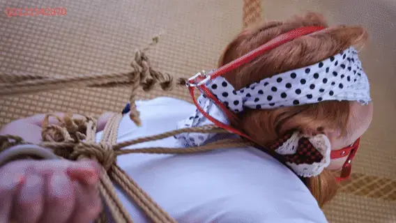 【悦感日记】女M死库水白丝 细麻绳紧缚|超大口球口水止不住|驷马强制抬头|无助呻吟 【悦感日记】死库水白丝 细麻绳紧缚|超大口球口水止不住|驷马强制抬头|无助呻吟<br>视频画质：2K 平台预览动态图画质有限。请耐心等待预览图加载完成！！！<br>工作室提供私人定制绳艺视频、定制绳艺体验、约拍模特、变装体验、<br>私人定制体验、出售麻绳、原味、情趣内衣，另外招募绳艺模特<br>qq2121542870|2262276724 email:2121542870@qq.com<br>Telegram:t.me/yueganriji<br>视频统一解压密码yueganriji 请不要在线解压观看。