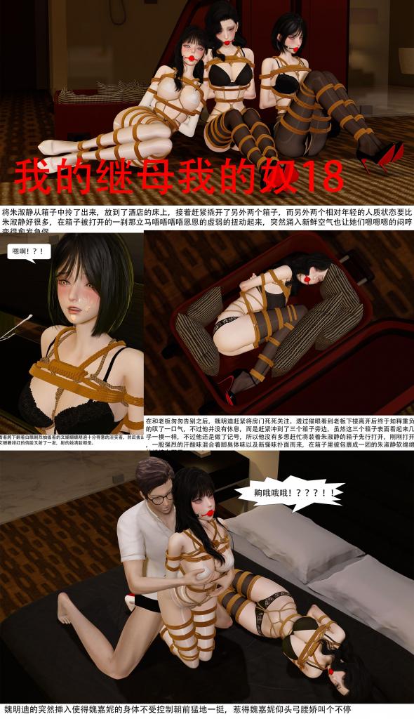 我的继母我的奴18