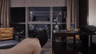 官官妖狐TJ视频之雌堕+女装+尾巴 长发披肩的冷艳的妈妈，穿着性感至极的齐B超短裤与闪亮高跟鞋，嘴角带着掌控一切的笑意。<br>妈妈面前，你是彻底雌堕的小母狗——丝袜紧紧包裹着妈妈修长的腿，M身后摇曳着诱人的尾巴，妈妈的高跟鞋尖轻轻挑起M的下巴，虐乳的指尖与掌心，在M敏感的地方上来回肆虐，疼痛与快感交织，让M发出压抑又下贱的呻吟。<br>“看你这副骚样子……今天，你就是我的魅魔小母狗。”<br>从丝袜足控到尾巴羞辱，妈妈用高跟与命令，将M一步步调教成彻底沉沦的玩具。<br>你，敢来见证这场极致雌堕吗？<br>视频解压说明：视频两次解压，改后缀，输入密码<span style='color:#b0b0b0;'>[隐藏文字，购买后可见]</span><br>如果你也对此类玩法感兴趣，请通过276727177作简单的自我介绍与添加意向，此目的为筛选诚意伙伴、建立平等交流基础的必要条件。