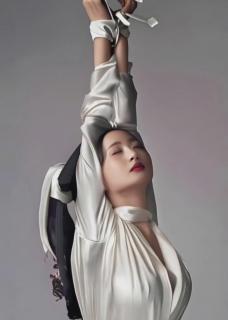 衬衣吊绑小合集 用AI生成的人物造型和动态