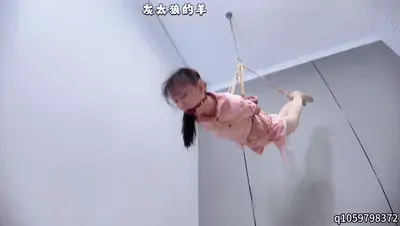 【灰太狼的羊】粉衣少女被高位悬挂吊缚，大口径口球堵嘴呻吟、口水直流，再被紧紧捆绑驷马TK调教 【灰太狼的羊】粉衣少女被紧紧地绑着吊在铁链上，胸缚与股绳绑的特别紧，可以脚底悬空转圈圈。再把双腿并缚，整个人都被悬空吊了起来，柠柠身材特别好，吊缚十分具有美感，再将口球给戴上，放置20分钟，勒的柠柠喊疼，全程呻吟。再紧缚驷马TK调教，戴上口球，用各种道具挠痒痒。本期视频所含元素较多，入手不亏！更多精彩内容请看正片~<span style='color:#b0b0b0;'>[隐藏文字，购买后可见]</span>