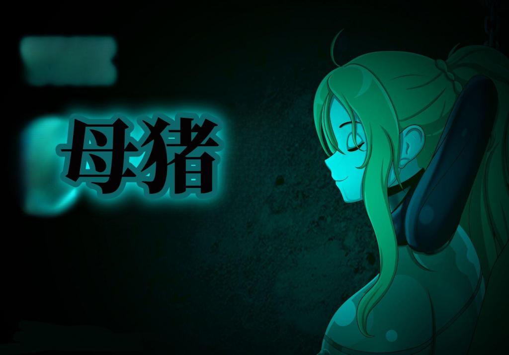 【中文】[TIER III unlock] IMAGE SET: Zenith - 作者 Tonk 前三张预览 第四张开始为正常顺序