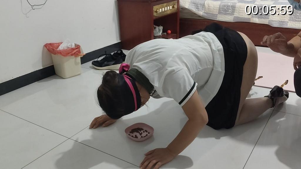 训练狗吃饭 今天简单调教狗蛋，真实吃狗粮，训练胃能接受狗粮，真实表演请勿模仿，定拍加qq8723114