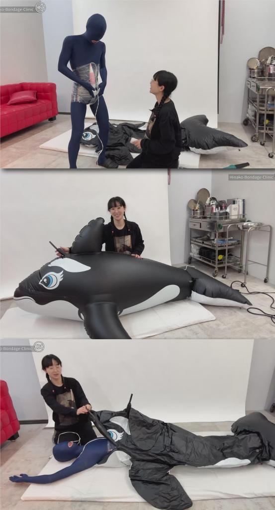 Orca Float Bondage × Vibrator Tease — PVC Sealed Pleasure! 片名：Orca Float Bondage × Vibrator Tease — PVC Sealed Pleasure!<br><br>这个是男M片，请喜欢此类的朋友购买，谢谢<br><br>Our latest twist on the fan-favorite orca float series! <br>Masochist boy, dressed in a full-body suit, has a vibrator tightly bound to his crotch with plastic wrap. Once plugged in from outside, the vibrator turns on automatically—he has no control from inside.<br><br>我们最新推出的粉丝最爱的虎鲸花车系列！ <br>一个穿着全身衣物的受虐男孩，用塑料膜将一个震动器紧紧绑在他的裤裆上。一旦从外部插上电源，震动器就会自动开启——他无法从内部进行控制。