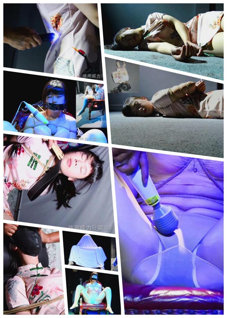 【天逸影画公司】D320（网络版）《劫难记8（上部）》26.09.06定拍微电影 【天逸影画公司】D320（网络版）《劫难记8（上部）》26.09.06定拍微电影<br><br>内容简介：<br>专案组组长刘丽专案组副组长张红对张虎犯罪集团进行专案侦查，张虎得到相关信息，设计陷害二人，欲知两个漂亮专案组长命运如何？………<br>………故事由此展开………请购买完整法制剧情微电影观看，谢谢关注和支持！！！