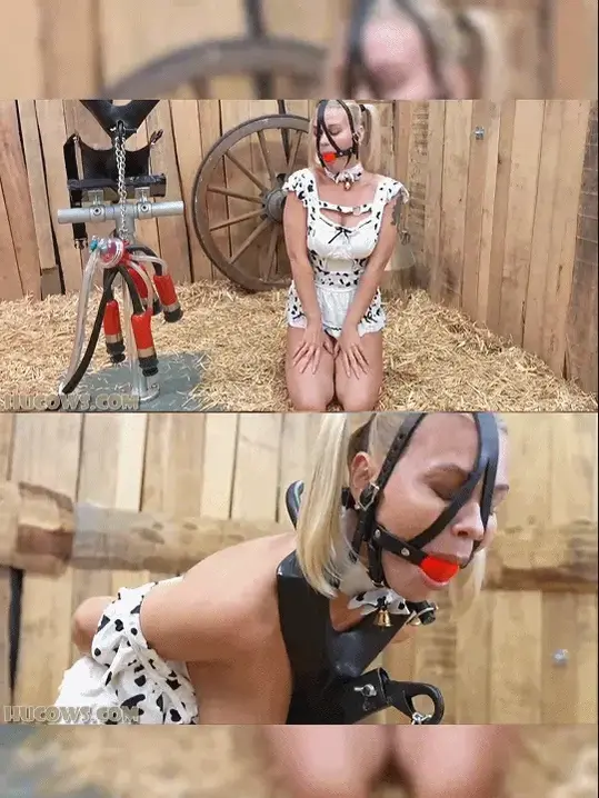 Darina – milking stand 【挤奶系列】她从未在挤奶台上被挤过奶，是时候用这台定制框架固定她并进行挤奶了。挤奶台能紧密贴合胡牛的身体，通过腰带和颈杆使其弯腰。乳仍悬垂着，这让农夫可以选择使用任何他喜欢的挤奶机。当然，对于像达丽娜这样的老胡牛来说，最强大的机器就是红色牛奶挤奶器。在这台无法逃脱的框架中，达丽娜被大力挤奶。从她可爱的哞哞声中就能听出痛苦。这是一个艰难的姿势，真空压力极高！更糟的是，挤奶结束时，达丽娜的超敏感乳还被一对痛苦的苜蓿夹子夹住！Darina has been in the herd for 10 years now. Click here to see all of her updates! She has never been pumped on the milking stand, so it is time she is locked down and milked on this custom made frame. The milking stand fits around a HuCow’s body tightly, making her bend over by using a waist strap and a neck bar. The udders still hang free, which gives the farmer the option to use any milking machine he likes. Of course, for a veteran HuCow like Darina, it is the most powerful machine: the red cow milker. Darina is milked very hard in this inescapable frame. You can tell it’s painful by her cute mooing sounds. This is a hard position and very high vacuum power! To make matters worse, the session is ended with a pair of painful clover clamps on Darina’s ultra sensitive teats!