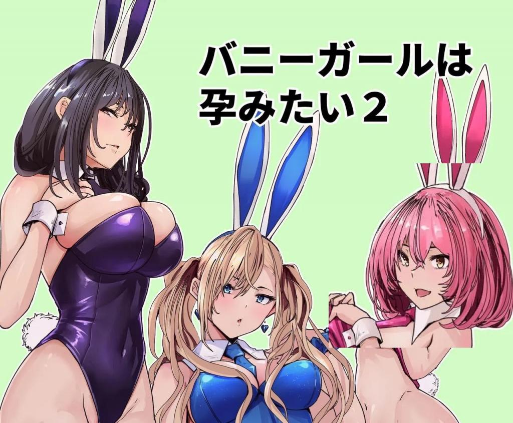 [中文]バニーガールは孕みたい2 - 新井アラタ   前三张为预览图
由人工智能管理的繁殖设施“兔兔大狂欢”，提供与三只新雌性激烈的育儿性爱。
还有女管理员的遭遇